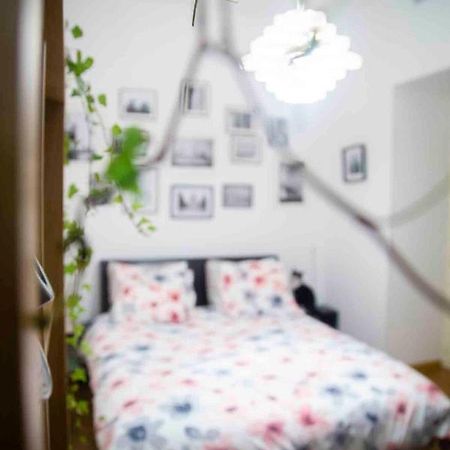 Fred'S Home Guest Room, Vieuxport, Climatise, Friendly Marseille Eksteriør billede